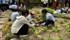 正在聪慧表型实心